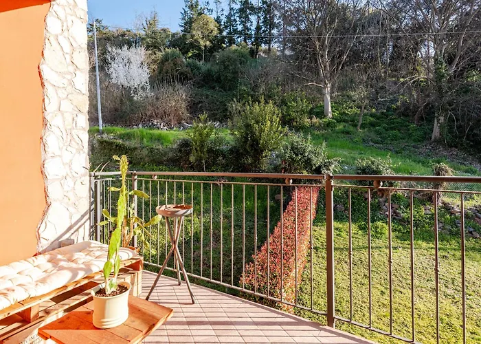 Carducci Work & Business *