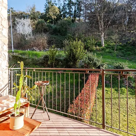 Carducci Work & Business *